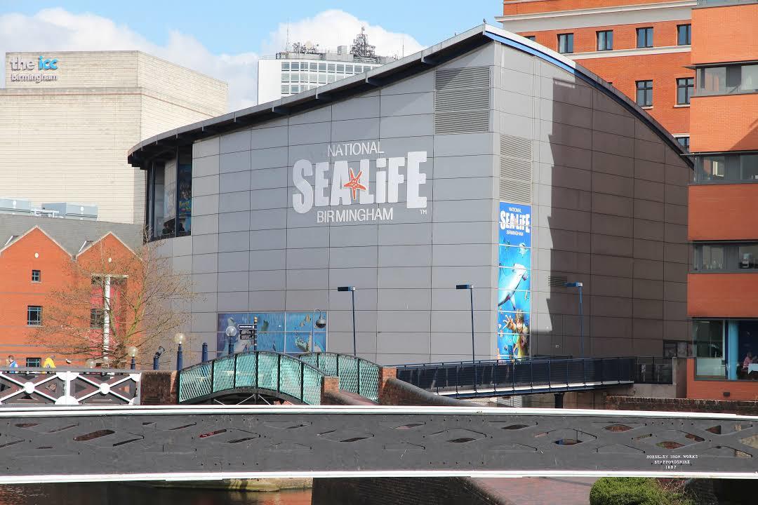 The National Sea Life Centre